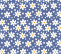 Bandana margaritas fondo azul cielo