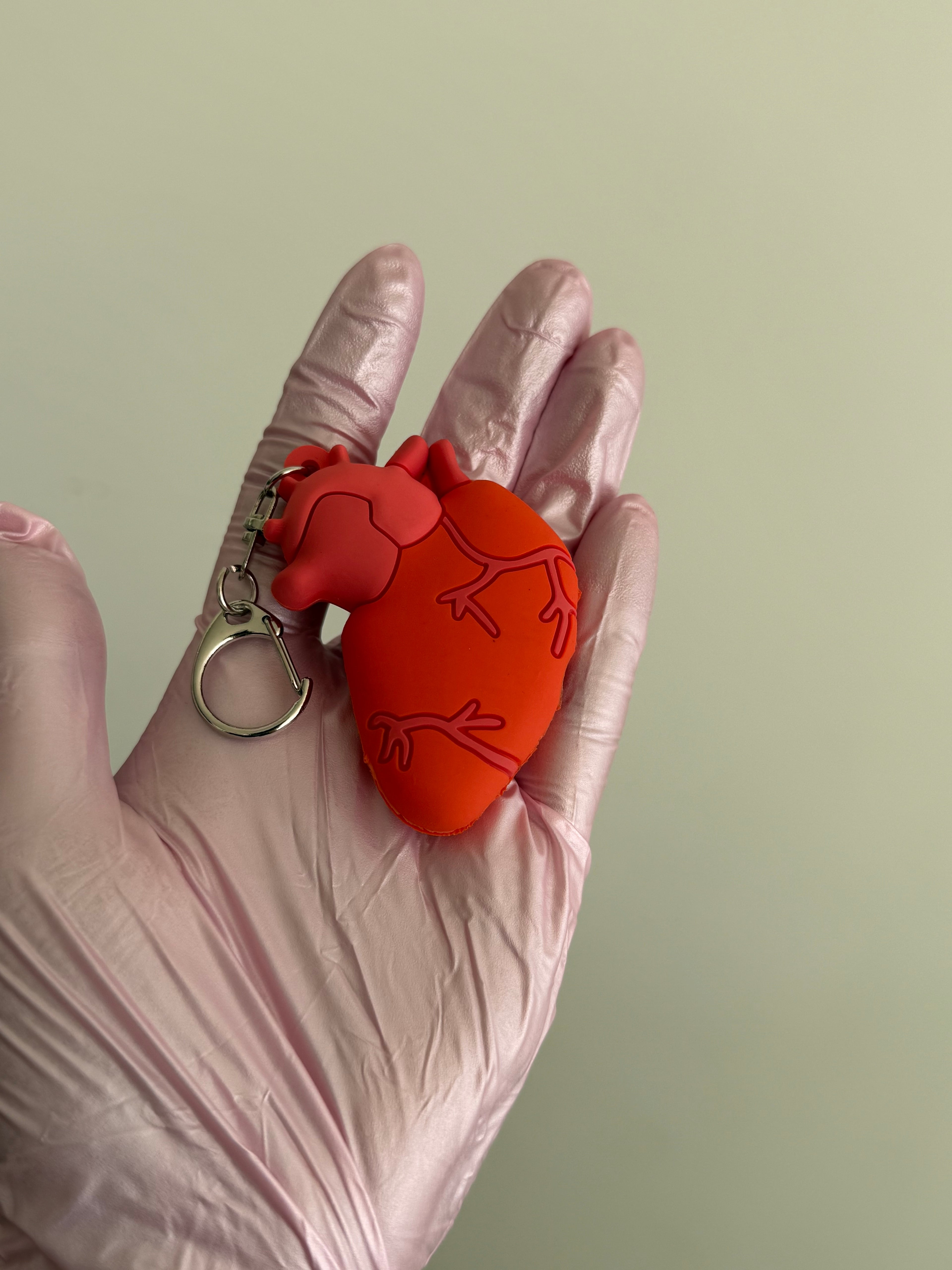 Rompe ampolletas corazón anatómico