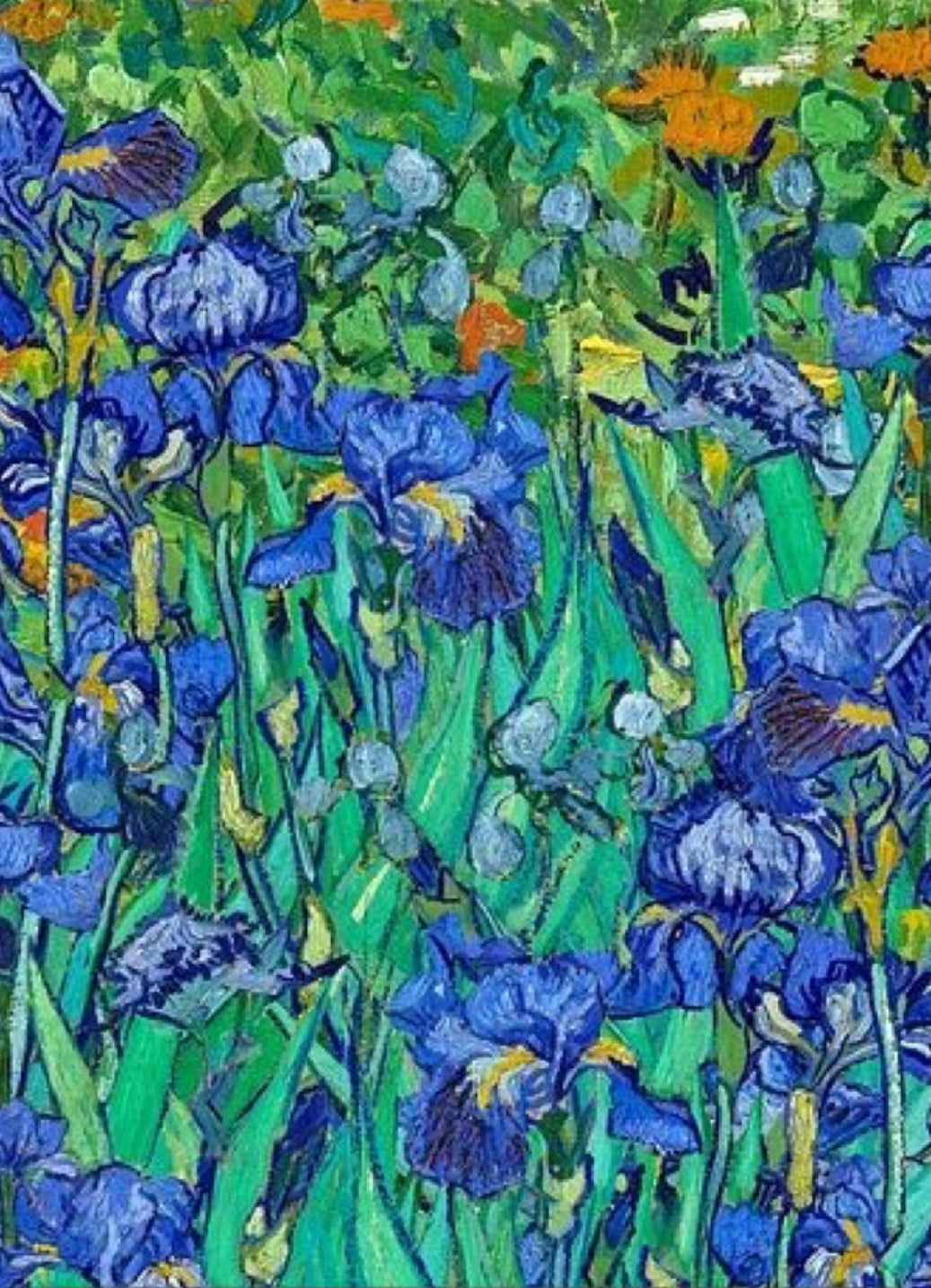 Bandana Los lirios Van Gogh