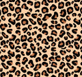 Bandana  animal print 🐆