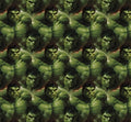 Bandana Hulk