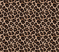 Bandana animal print 🐆