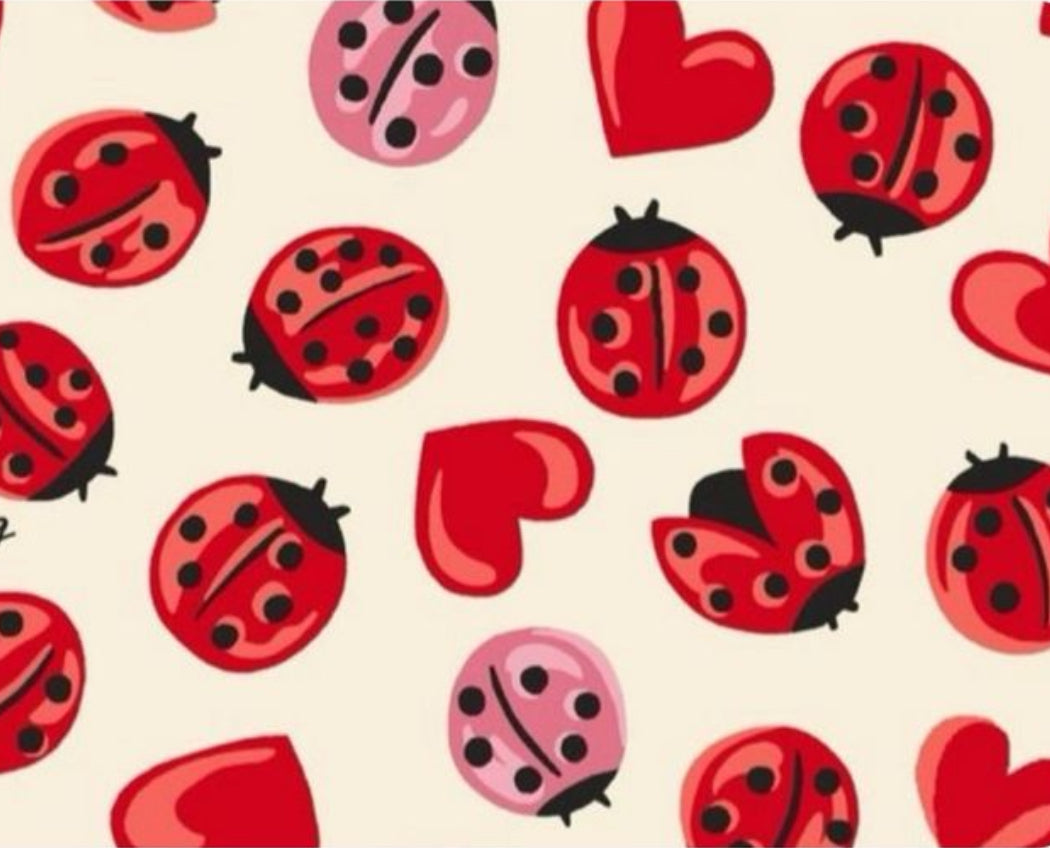 Bandana catarina 🐞 ❤️