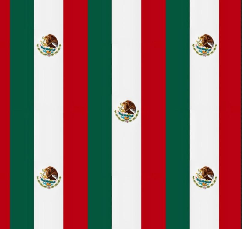 Bandana bandera de México 🇲🇽